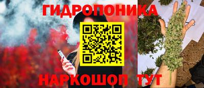 мяу мяу мука Будённовск